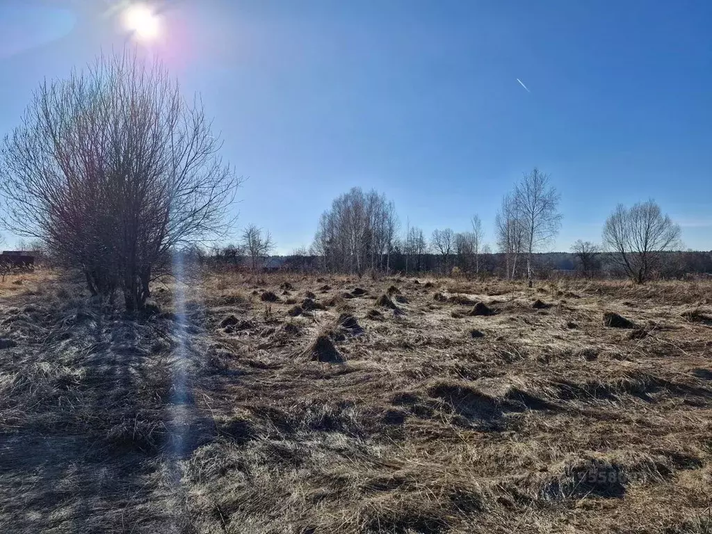 Участок в Московская область, Ступино городской округ, д. Щербинино  ... - Фото 1