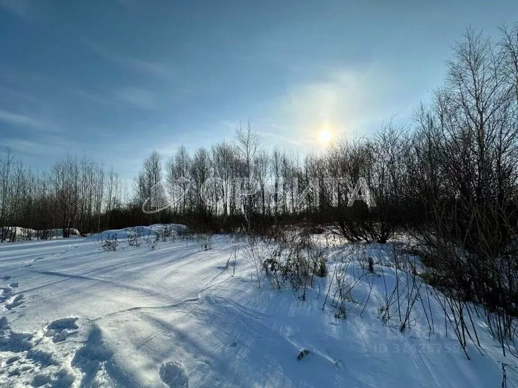 Участок в Тюменская область, Тюменский район, д. Пышминка Молодежная ... - Фото 0