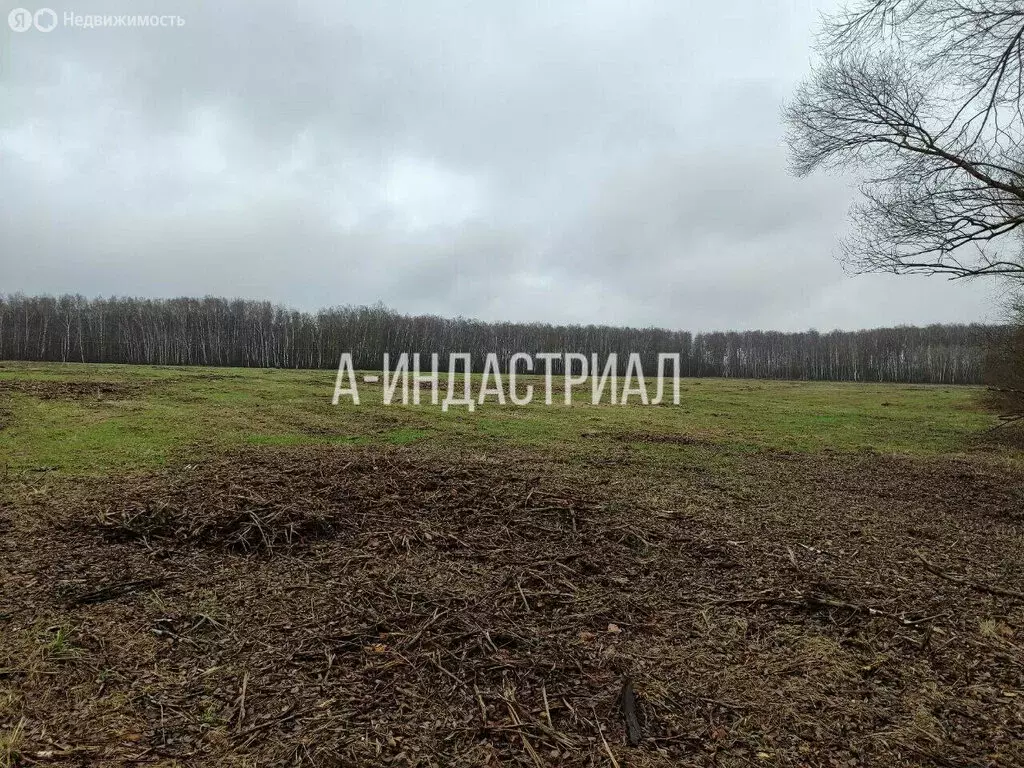 Участок в Московская область, Раменский муниципальный округ, село ... - Фото 2
