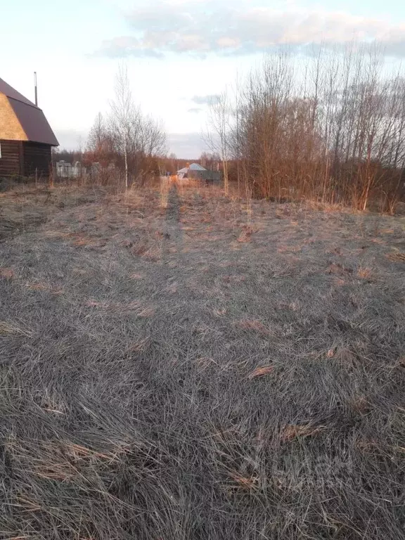 Участок в Московская область, Талдомский городской округ, д. Храброво  ... - Фото 0