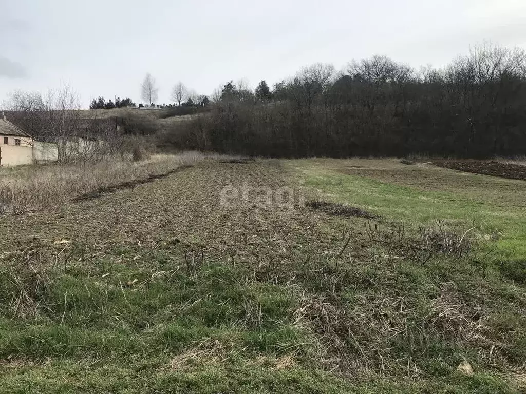 Участок в Крым, Симферопольский район, с. Мазанка ул. Юбилейная (7.1 ... - Фото 0