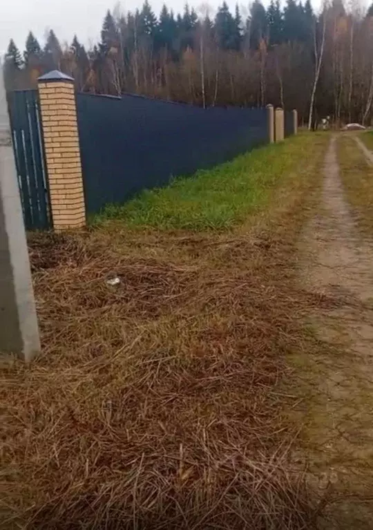 Участок в Московская область, Рузский муниципальный округ, д. ... - Фото 2