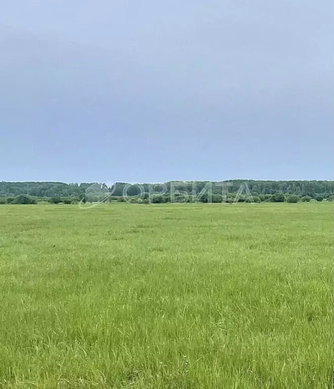 Участок в Свердловская область, Слободо-Туринский район, ... - Фото 1