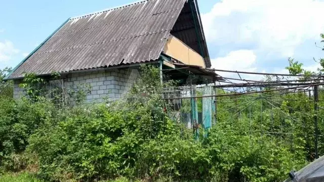 Дача 20 м на участке 5 сот. - Фото 0