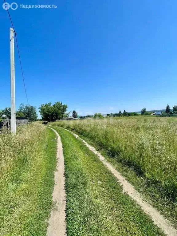 Участок в Ордынский район, село Кирза (15 м) - Фото 0