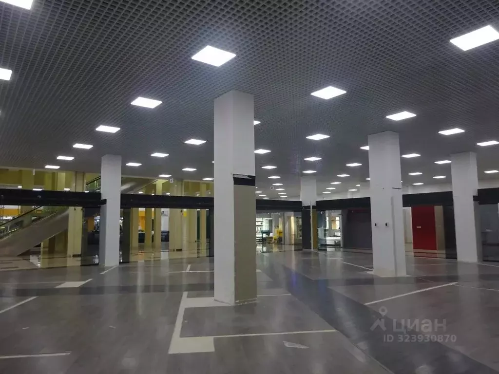 Торговая площадь в Санкт-Петербург Богатырский просп., 18К2 (550 м) - Фото 1