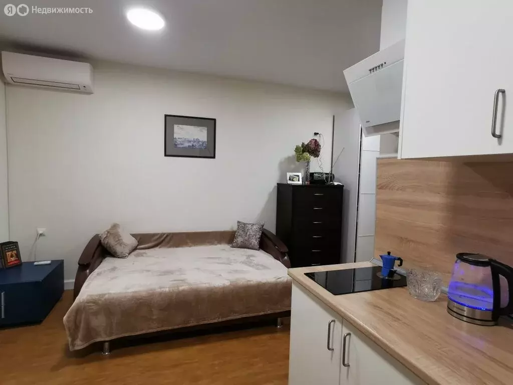 Квартира-студия: Афонино, Академическая улица, 11 (28 м) - Фото 1