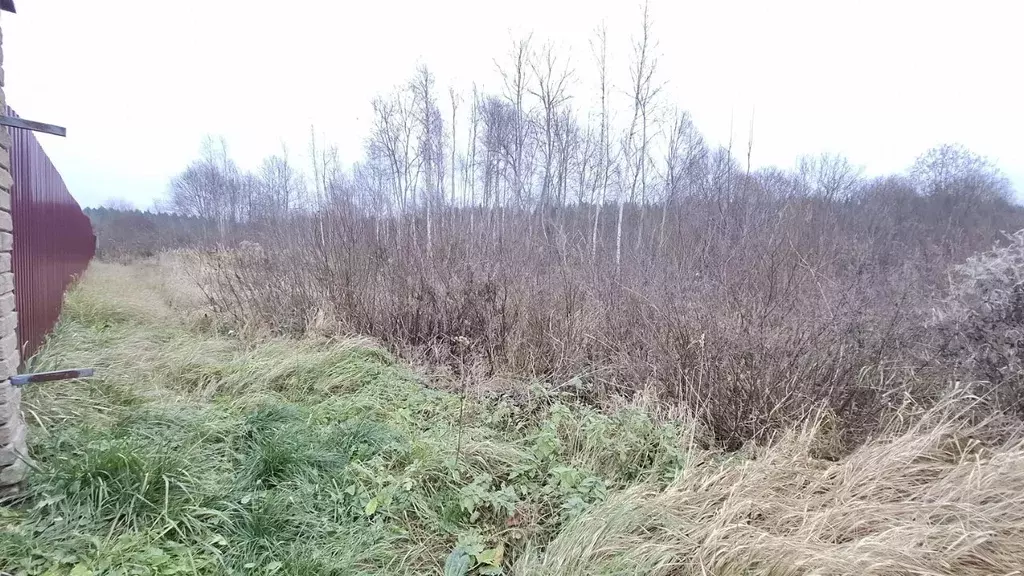 Участок в Смоленская область, Смоленский муниципальный округ, д. ... - Фото 1