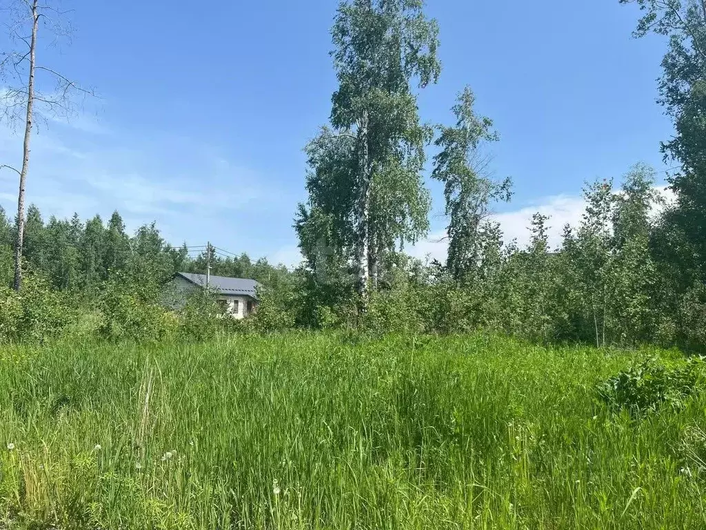 Участок в Новосибирская область, Искитимский район, Быстровский ... - Фото 0