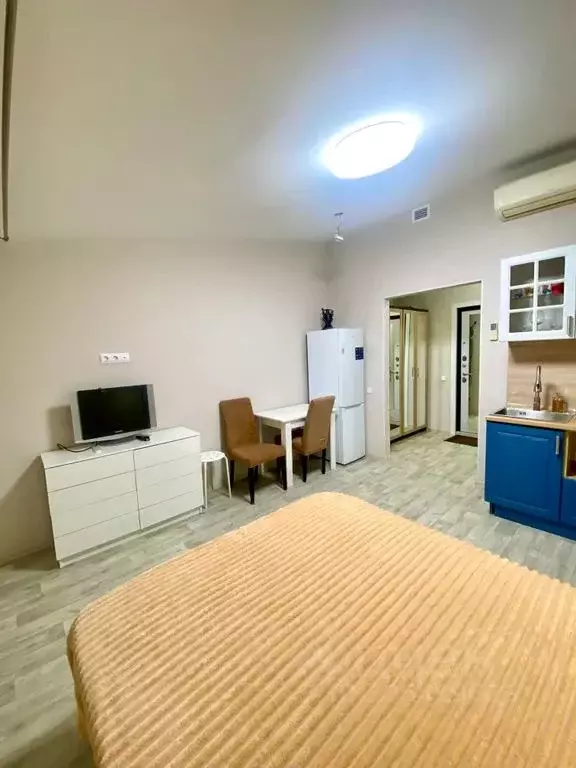 Студия Санкт-Петербург Галерная ул., 12 (22.0 м) - Фото 2