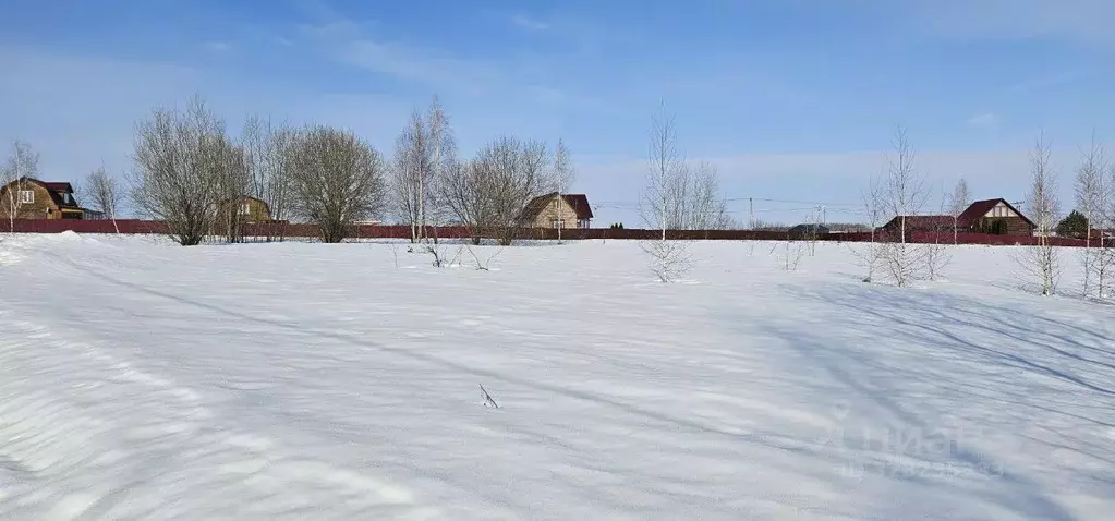 Участок в Московская область, Луховицы муниципальный округ, д. Берхино ... - Фото 1