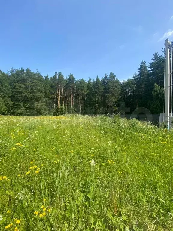 Участок 10 сот. (СНТ, ДНП) - Фото 1