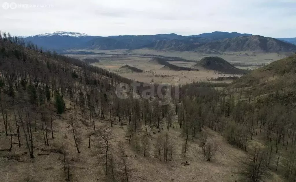 Участок в Онгудайский район, село Ело (119.13 м) - Фото 1