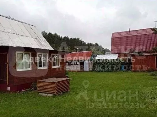 Дом в Тюменская область, Тюмень Дорожник СНТ, ул. Березовая, 81 (57 м) - Фото 1