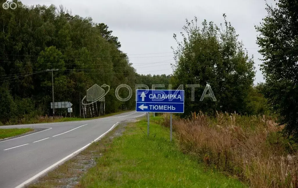 Участок в село Салаирка, Лесная улица (15 м) - Фото 0