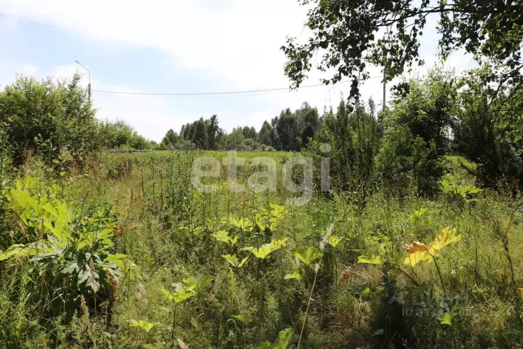 Участок в Тульская область, Тула городской округ, д. Новая Знаменка  ... - Фото 1