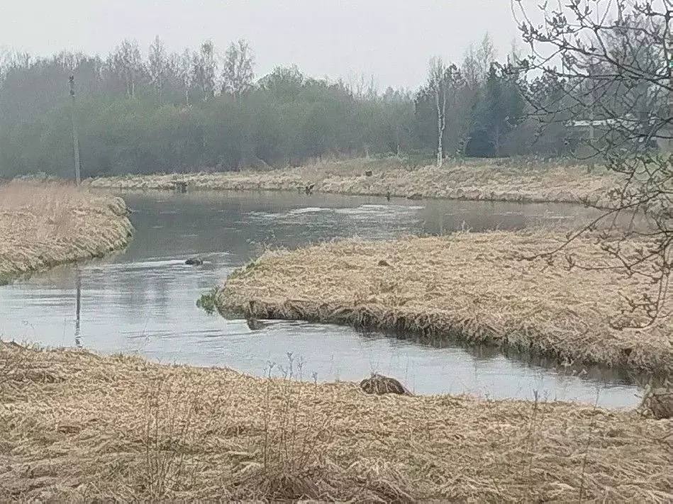Участок в Ленинградская область, Гатчинский муниципальный округ, д. ... - Фото 1