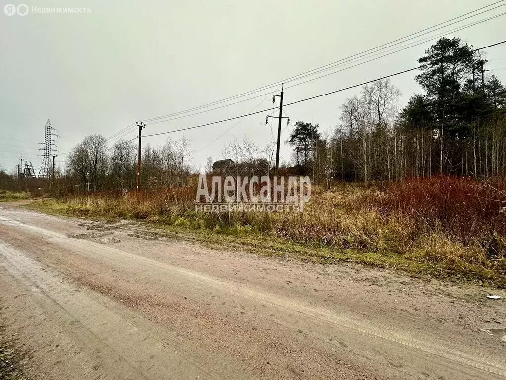 Участок в Приозерский район, городской посёлок Кузнечное (10 м) - Фото 0