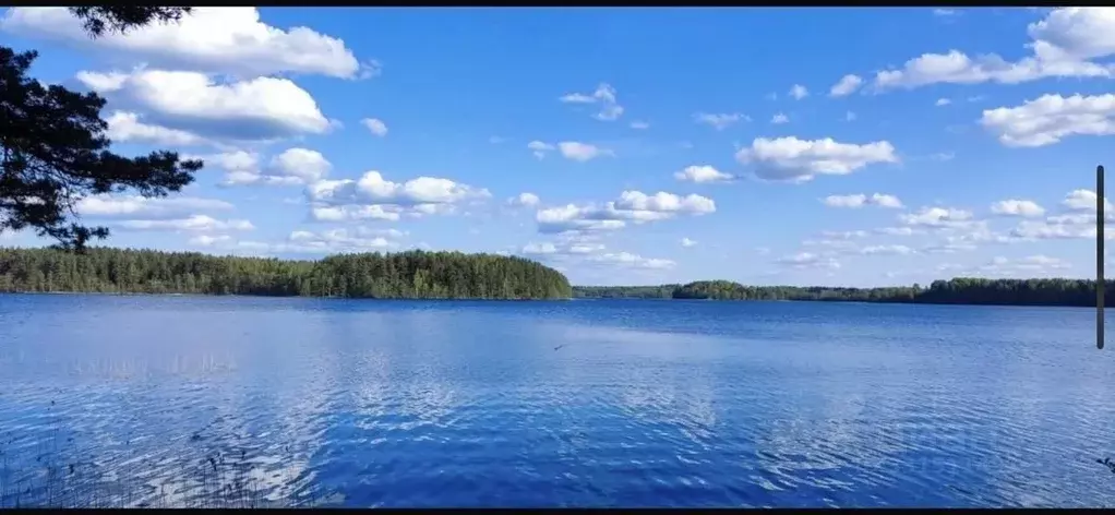 Участок в Псковская область, Пустошкинский муниципальный округ, д. ... - Фото 2