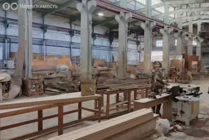 Помещение свободного назначения (956 м) - Фото 1