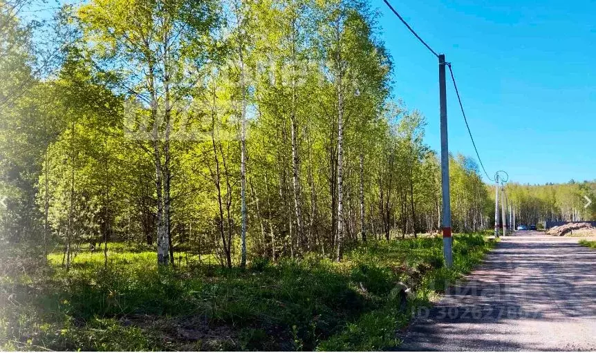 Участок в Московская область, Одинцовский городской округ, с. ... - Фото 0