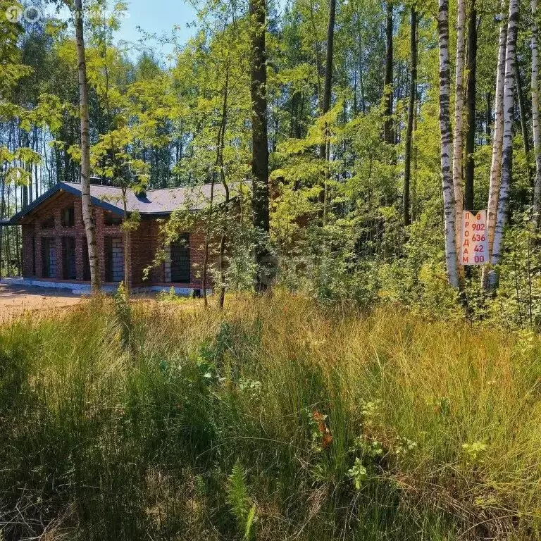 Участок в Выборгский район, Первомайское сельское поселение, КП ... - Фото 2