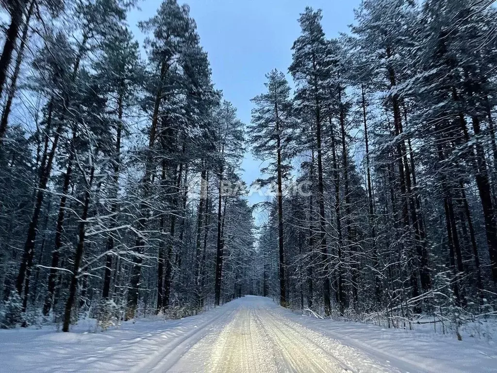 Участок в Рязанская область, Клепиковский район, Ненашкинское с/пос, ... - Фото 1