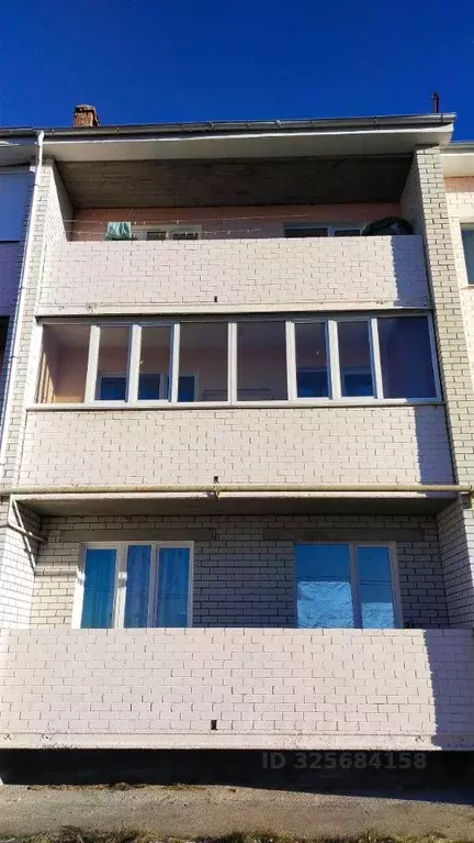 2-к кв. Брянская область, Брянский район, Отрадненское с/пос, с. ... - Фото 2