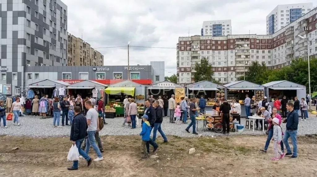 Помещение свободного назначения в Новосибирская область, Новосибирск ... - Фото 1