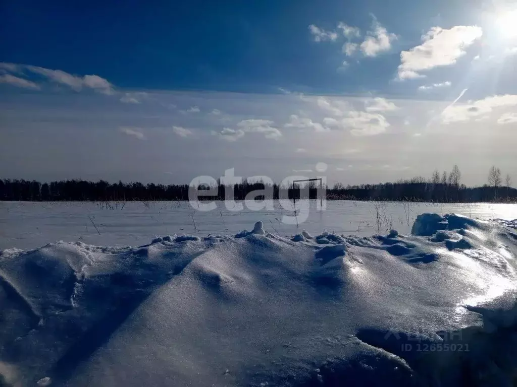 Участок в Костромская область, Нерехта ул. Кутузова (860.0 сот.) - Фото 0