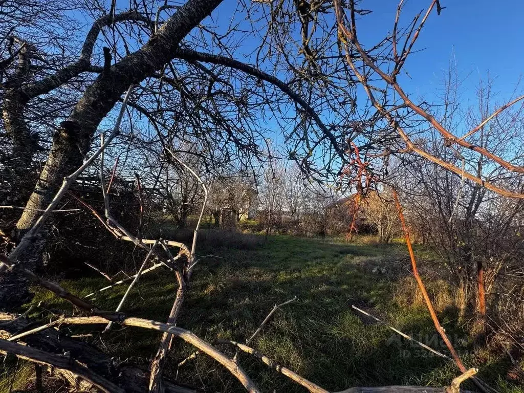 Участок в Крым, Симферопольский район, с. Трудовое, Здоровье СПК  (4.0 ... - Фото 1