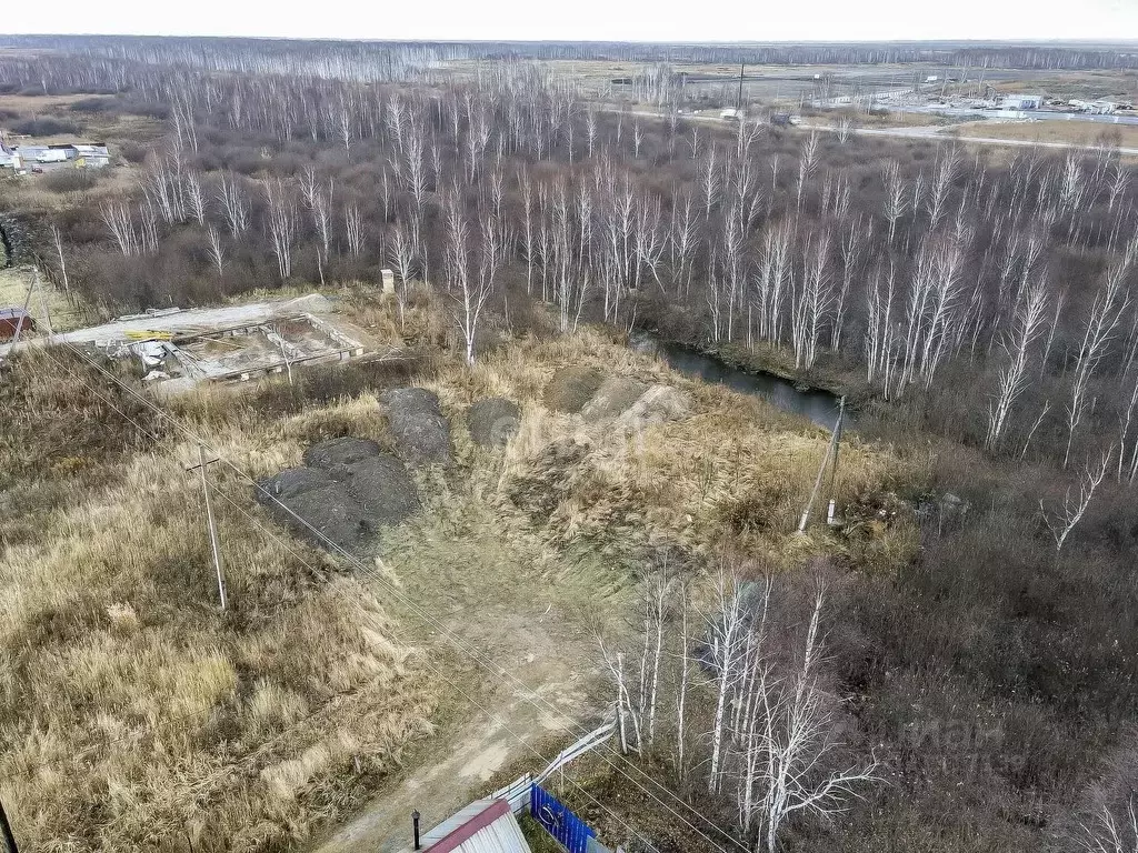 Участок в Тюменская область, Тюмень Якорь садовое товарищество, ул. ... - Фото 0