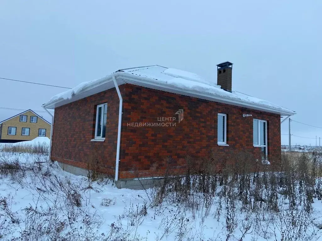 Дом в Татарстан, с. Тюлячи ул. 25-летия района, 6 (74 м) - Фото 1