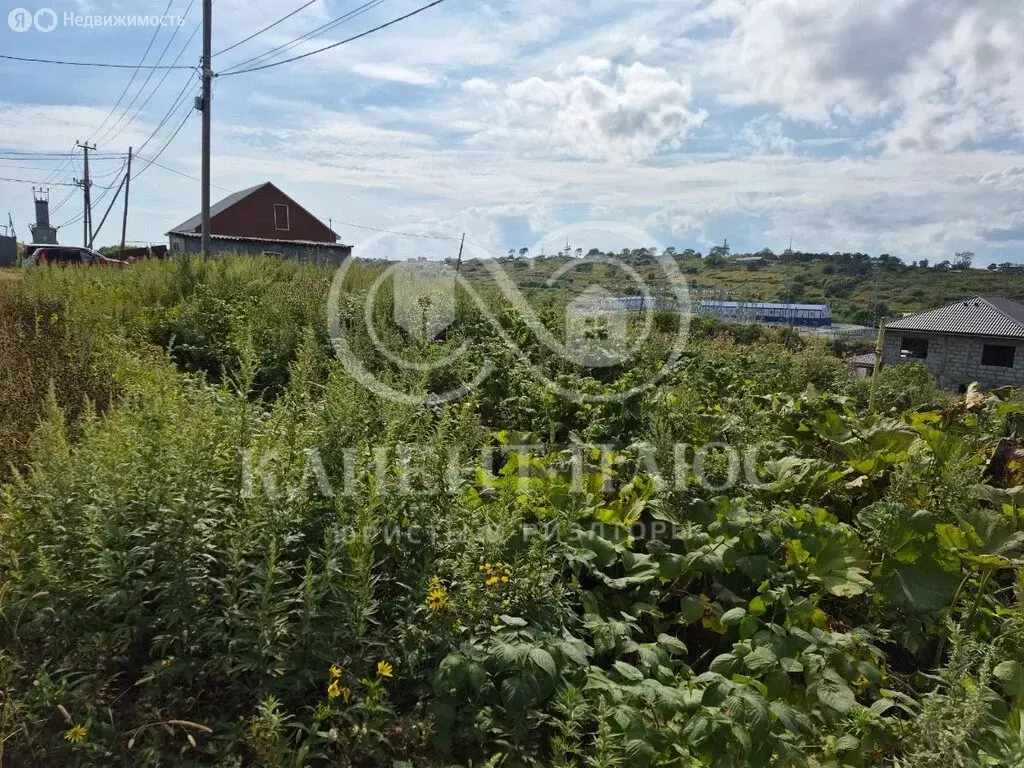 Участок в Корсаков, Тенистая улица, 46 (11.5 м) - Фото 1