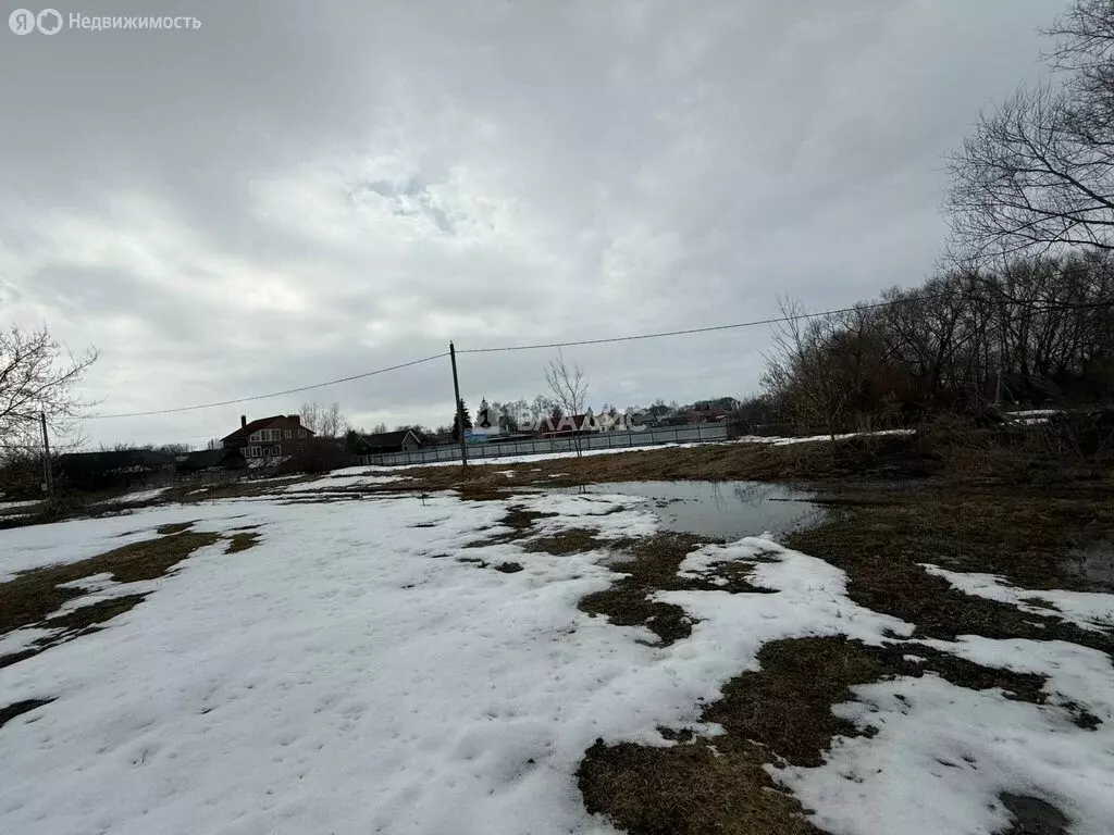 Участок в Московская область, муниципальный округ Зарайск, деревня ... - Фото 2