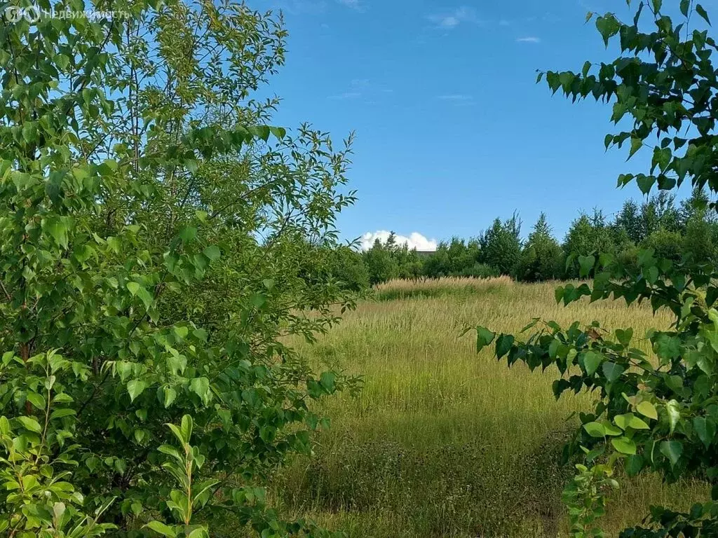 Участок в Краснореченское, Елисейская улица (11.4 м) - Фото 0