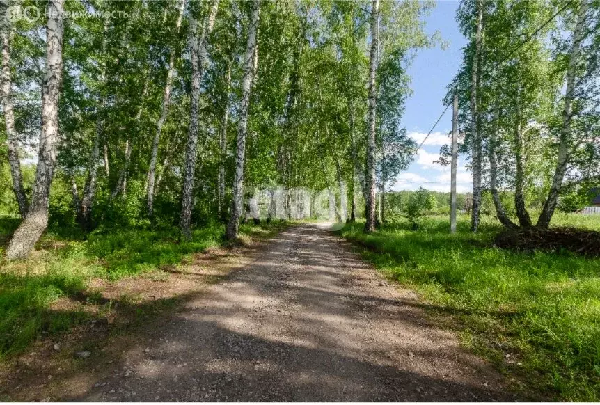 Участок в Бердск, СНТ Ива, 17-я улица (5.63 м) - Фото 0