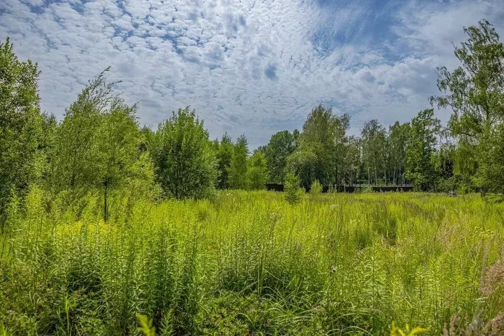 Участок в Московская область, Одинцовский городской округ, д. Дарьино, ... - Фото 2