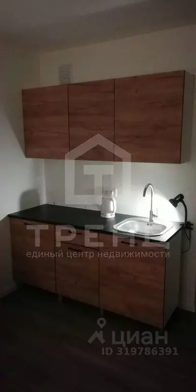 Студия Ленинградская область, Мурино Всеволожский район, просп. ... - Фото 1