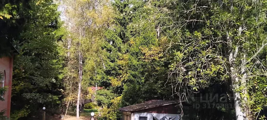 Участок в Московская область, Одинцовский городской округ, д. ... - Фото 1