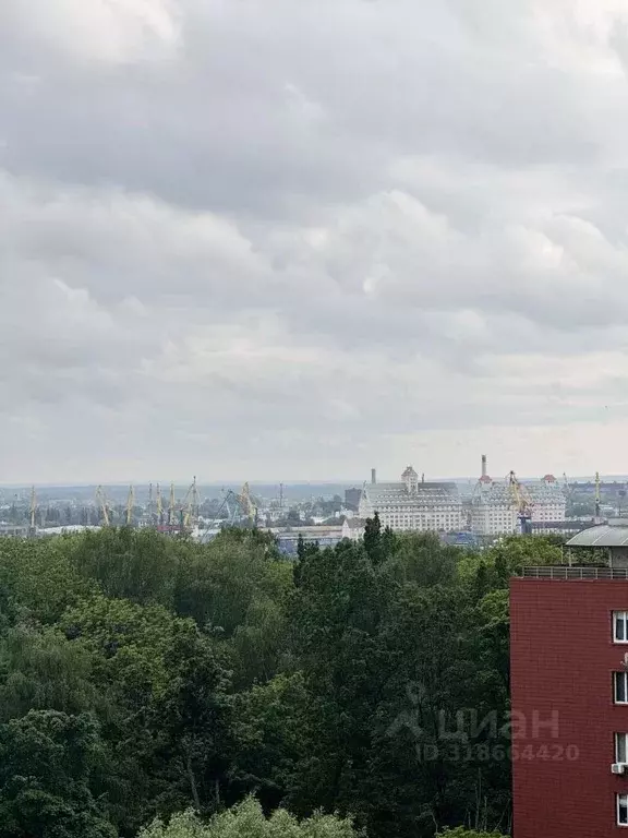 2-к кв. Калининградская область, Калининград ул. Сержанта Колоскова, 8 ... - Фото 1