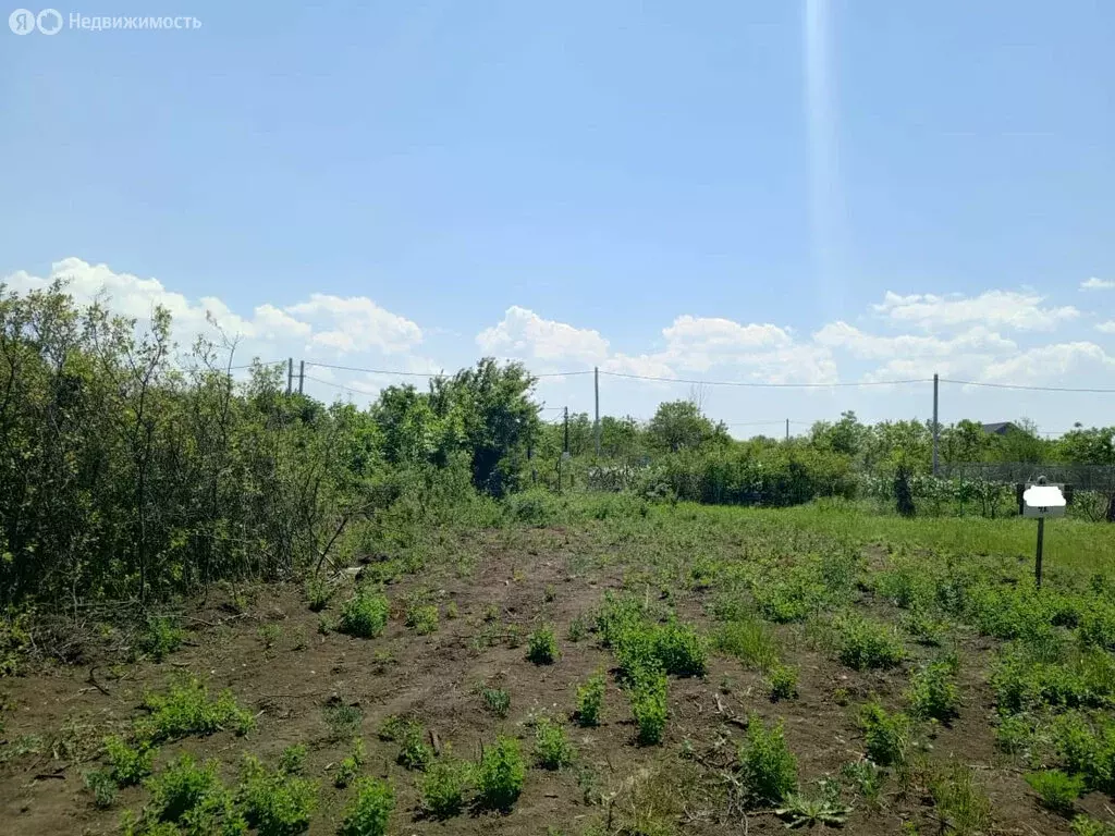 Участок в Ейск, СНТ Южное (5 м) - Фото 1