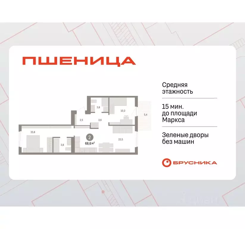 2-к кв. Новосибирская область, Новосибирский район, Краснообск рп, 3-й ... - Фото 1