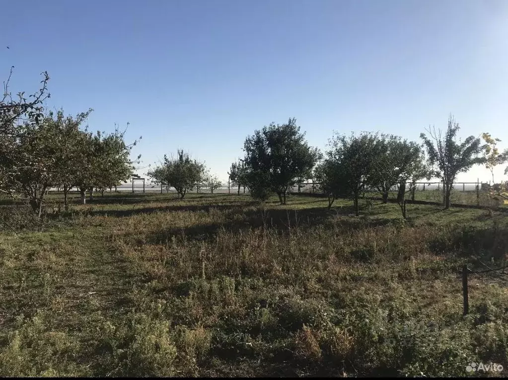 Участок, 15 сот., поселения (ижс) - Фото 1