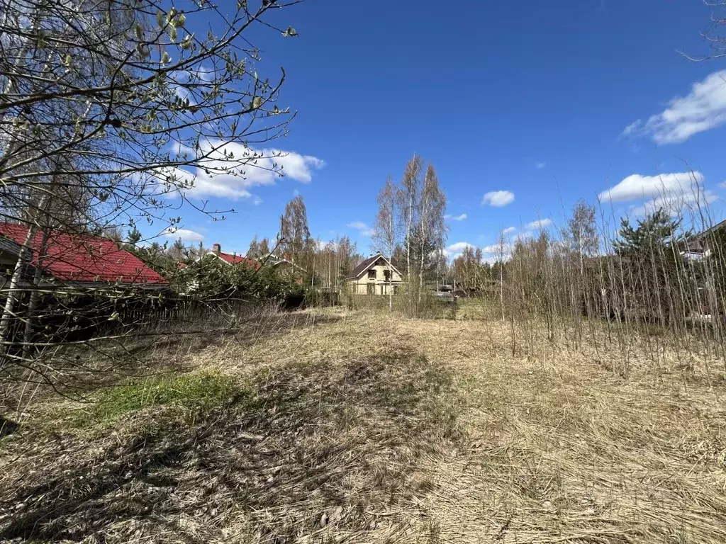Участок в Ленинградская область, Всеволожский район, Колтушское ... - Фото 0