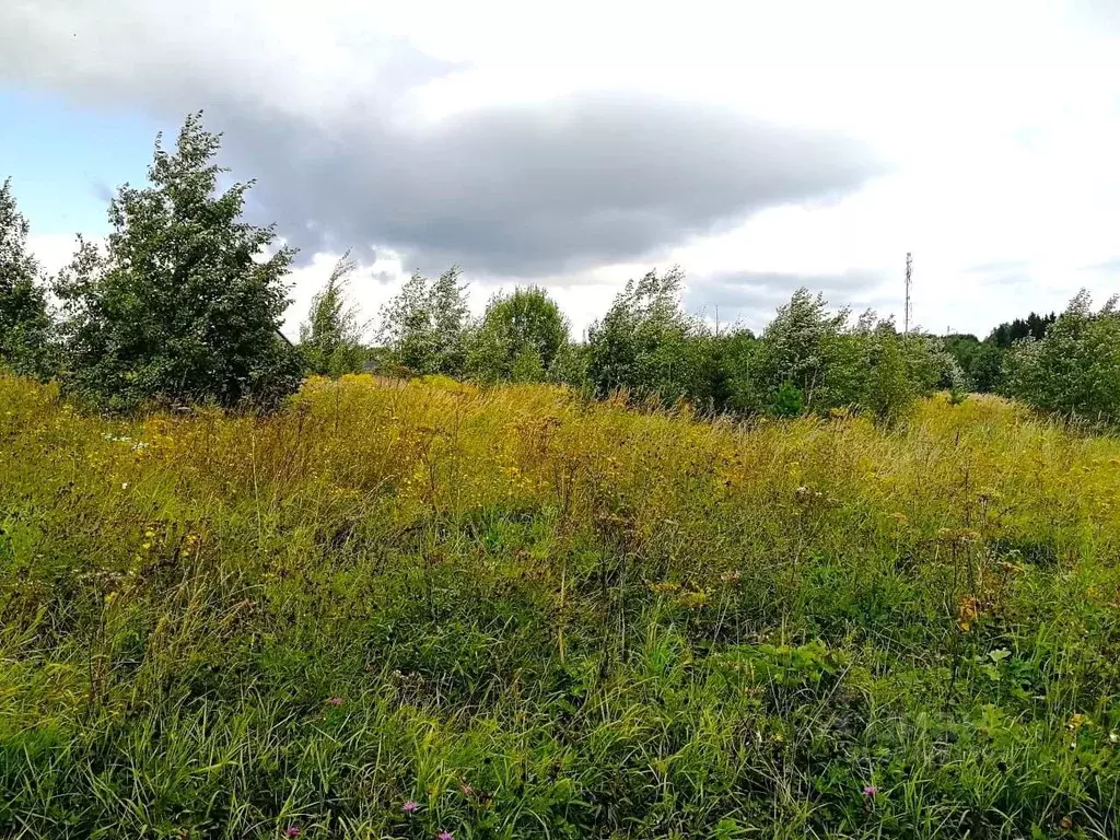 Участок в Московская область, Сергиево-Посадский городской округ, д. ... - Фото 0