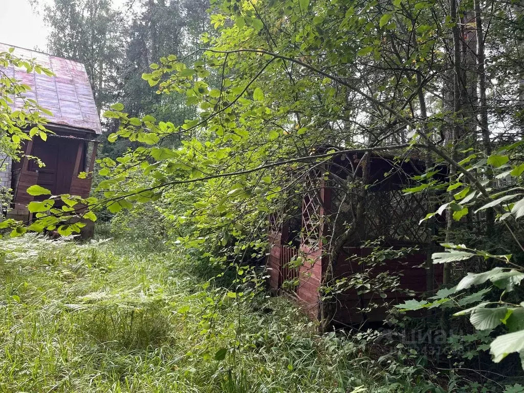Участок в Ленинградская область, Приозерский район, Сосновское с/пос, ... - Фото 2