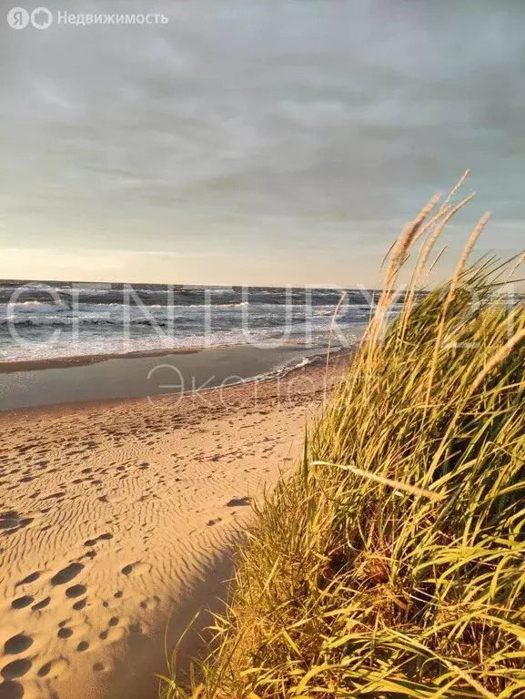 Участок в Зеленоградск, Крепкая улица, 4 (7.96 м) - Фото 1