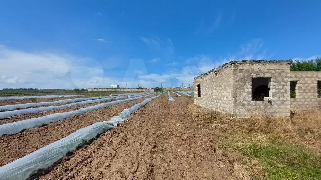 Участок 1,4 га (СНТ, ДНП) - Фото 1