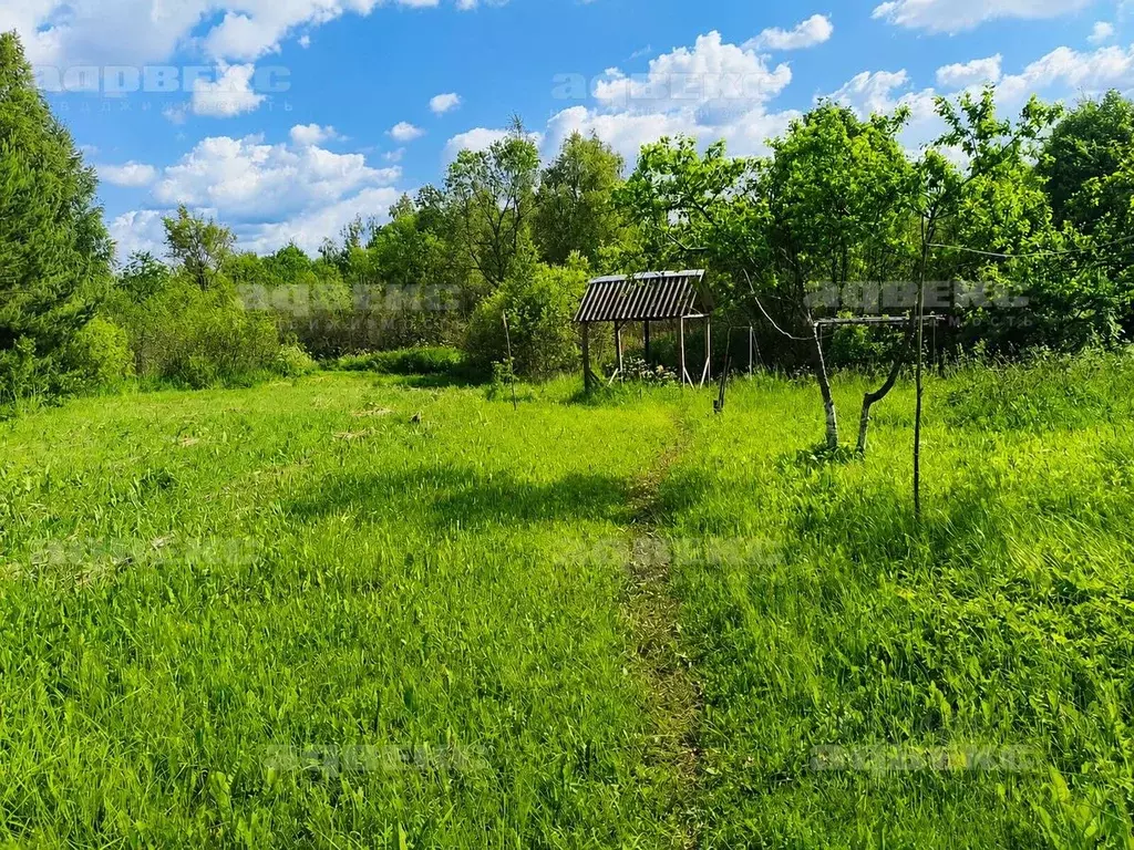 Участок в Псковская область, Невельский муниципальный округ, д. ... - Фото 1
